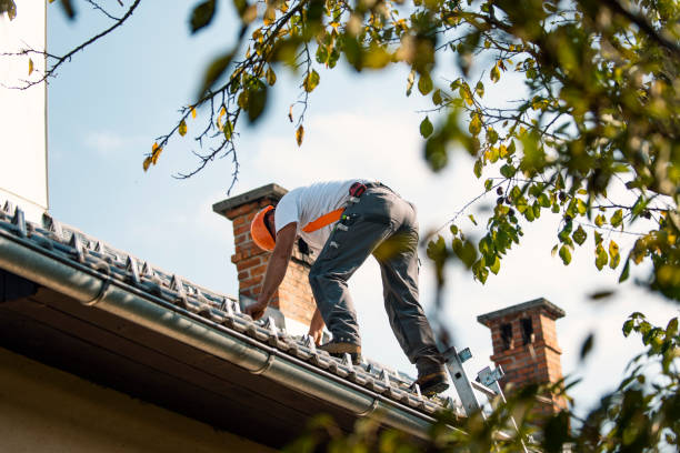 Best Gutter Installation and Roofing  in Calais, ME