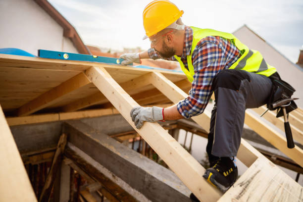 Best Roof Gutter Cleaning  in Calais, ME