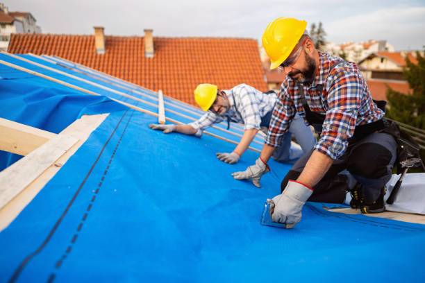 Best Metal Roofing Contractor  in Calais, ME