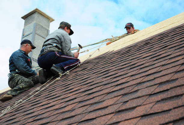 Best Flat Roof Repair Services  in Calais, ME
